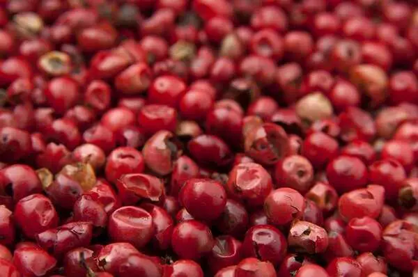 Bacche di goji