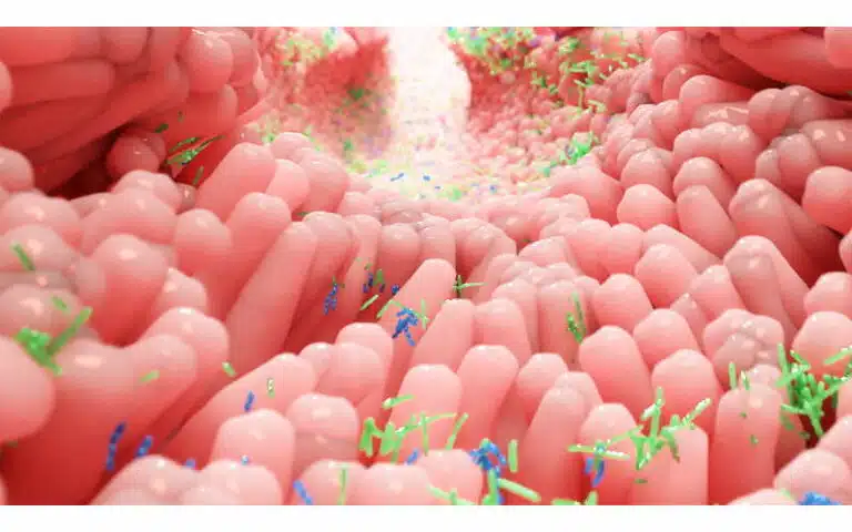 celiachia e probiotici